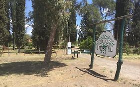 Tree House Hostel